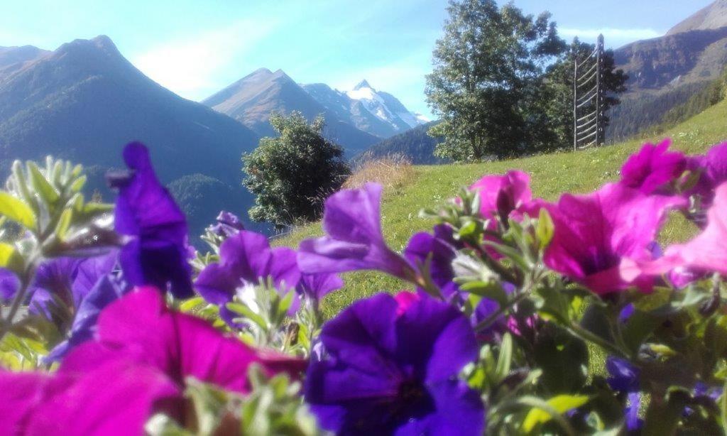 Ferienwohnung Hohe Wand Heiligenblut am Großglockner Exterior foto