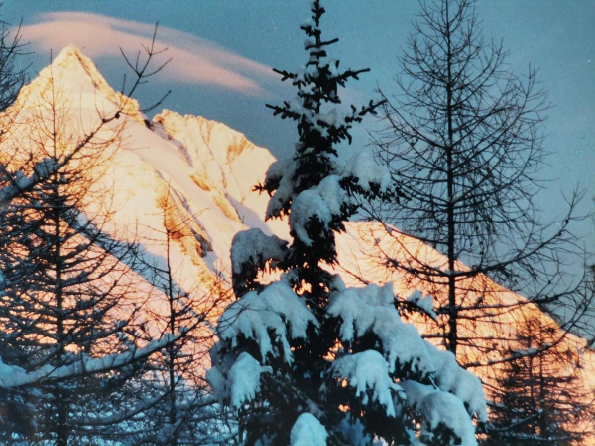 Ferienwohnung Hohe Wand Heiligenblut am Großglockner Exterior foto
